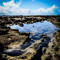 Praia de Porto de Galinhas